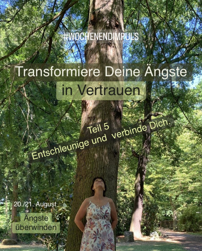 2022-08-20_karriere-liebe-leben_petraniessen_tagesimpuls_aengste-ueberwinden