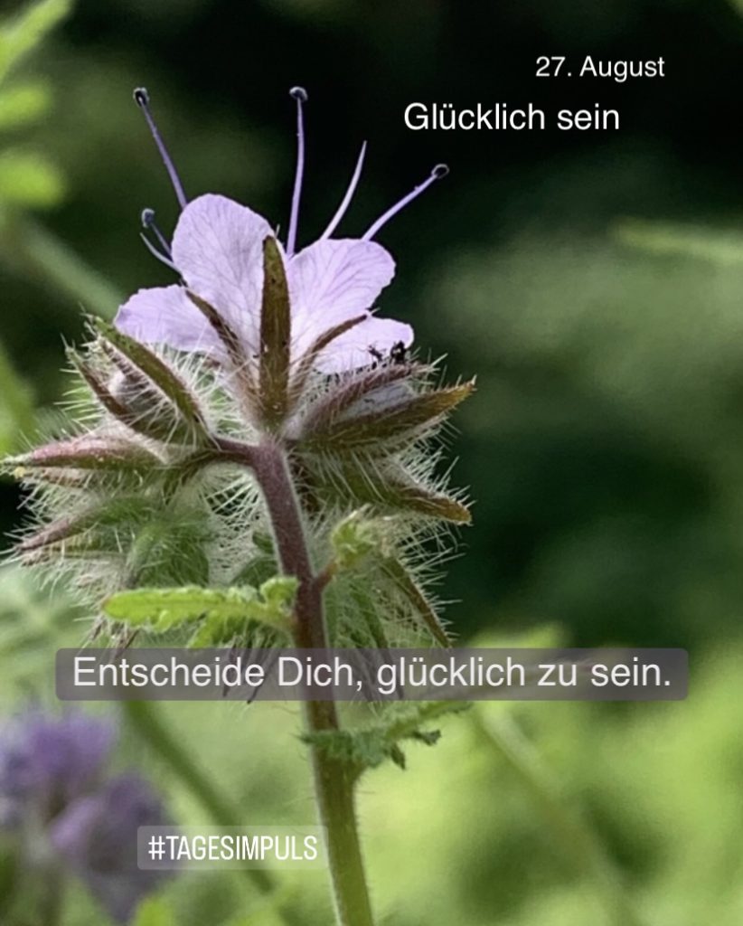 2022-08-27_karriere-liebe-leben_petraniessen_tagesimpuls_gluecklich-sein