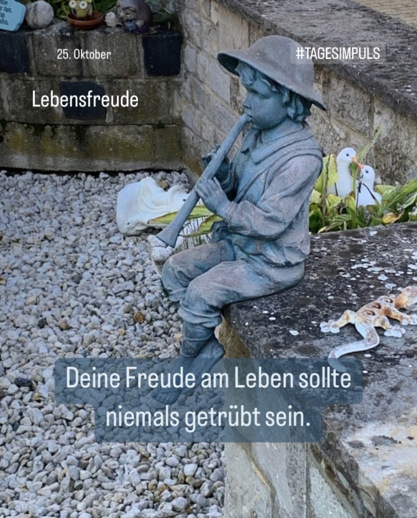 2022-10-25_karriere-liebe-leben_petraniessen_tagesimpuls_lebensfreude