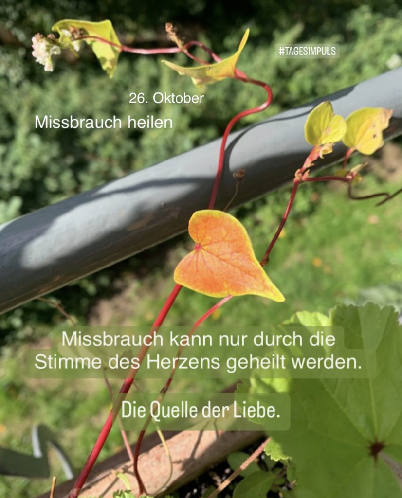 2022-10-26_karriere-liebe-leben_petraniessen_tagesimpuls_missbrauch-heilen