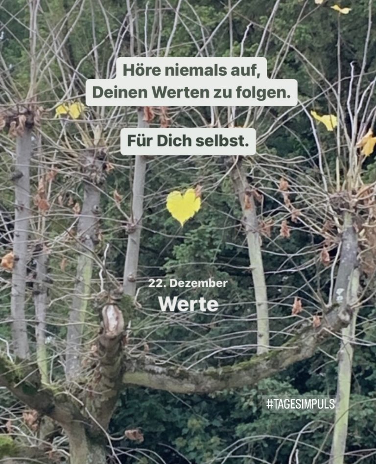 2022-12-22_karriere-liebe-leben_petraniessen_tagesimpuls_werte