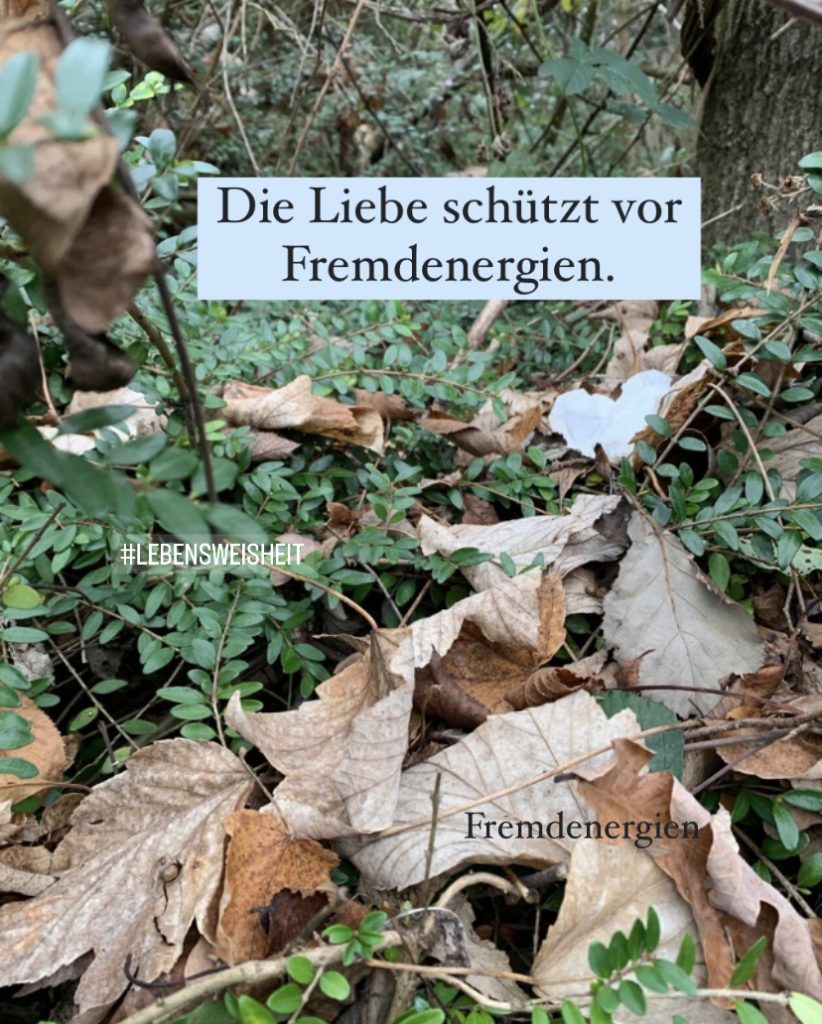 2023-02-20_karriere-liebe-leben_petraniessen_fremdenergien