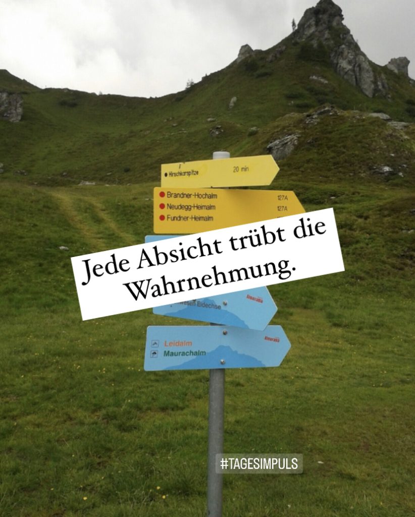 2023-04-11_karriere-liebe-leben_petraniessen_Loslassen