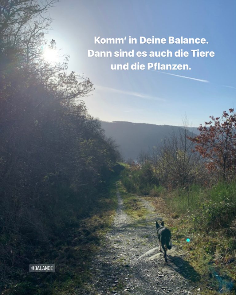 2023-12-20_karriere-liebe-leben_petraniessen_Balance